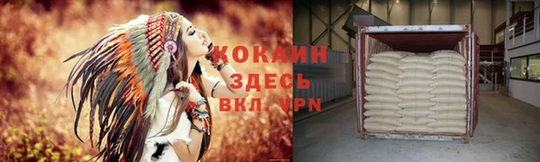 индика Алзамай