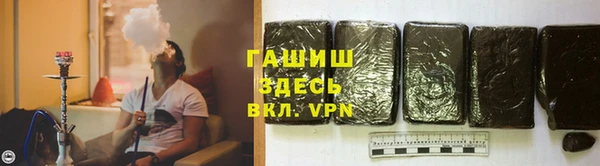 индика Алзамай