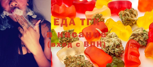 индика Алзамай
